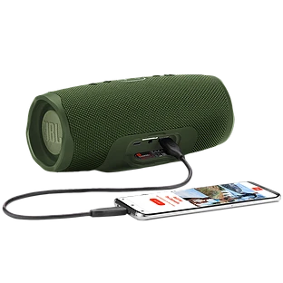Портативная колонка JBL Charge 4 Зелёный лес