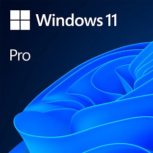 MICROSOFT Windows 11 Pro, Original Equipment Installer (OEI), Английский Language, 1 лицензия