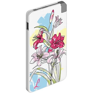 Зарядное устройство DEPPA NRG Art, 5000 мА·ч, Li-pol