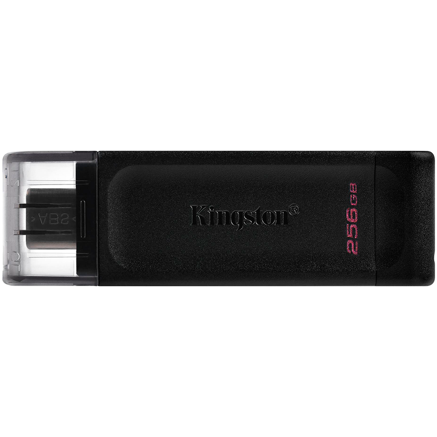Память ( USB flash ) KINGSTON 256 ГБ