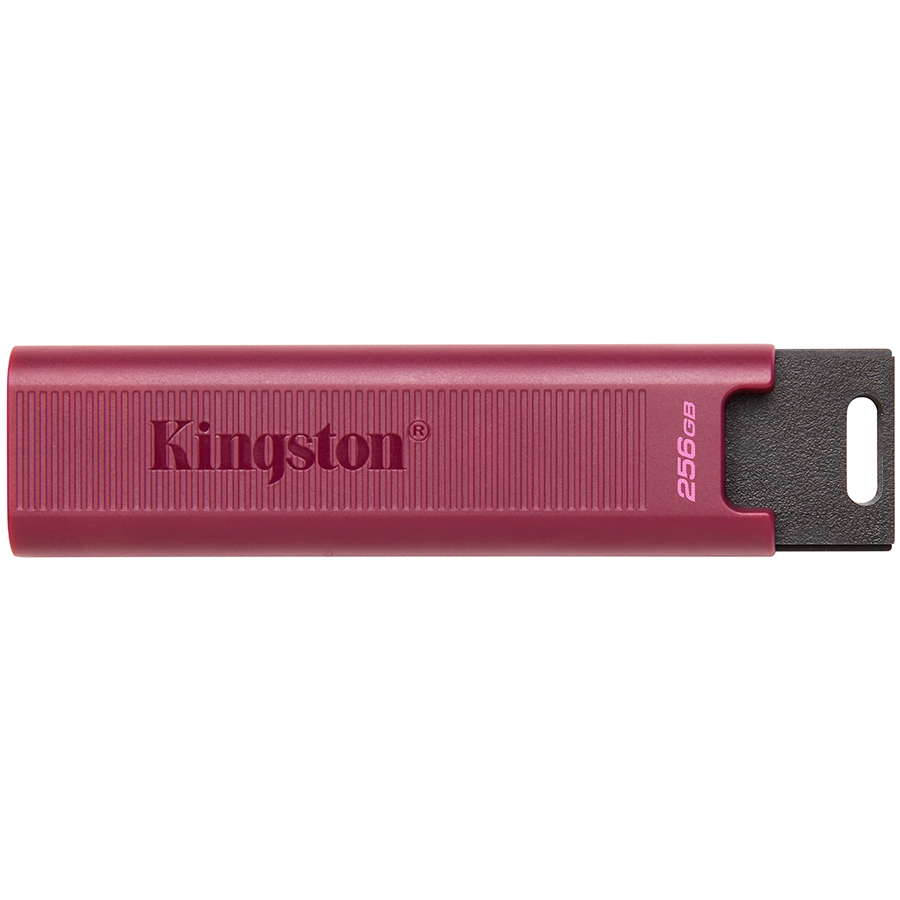 Память ( USB flash ) KINGSTON 256 ГБ
