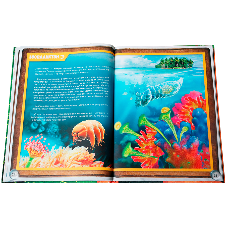 Микромир: энциклопедия в дополненной реальности