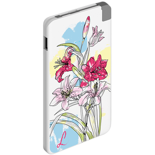 Зарядное устройство DEPPA NRG Art, 5000 мА·ч, Li-pol