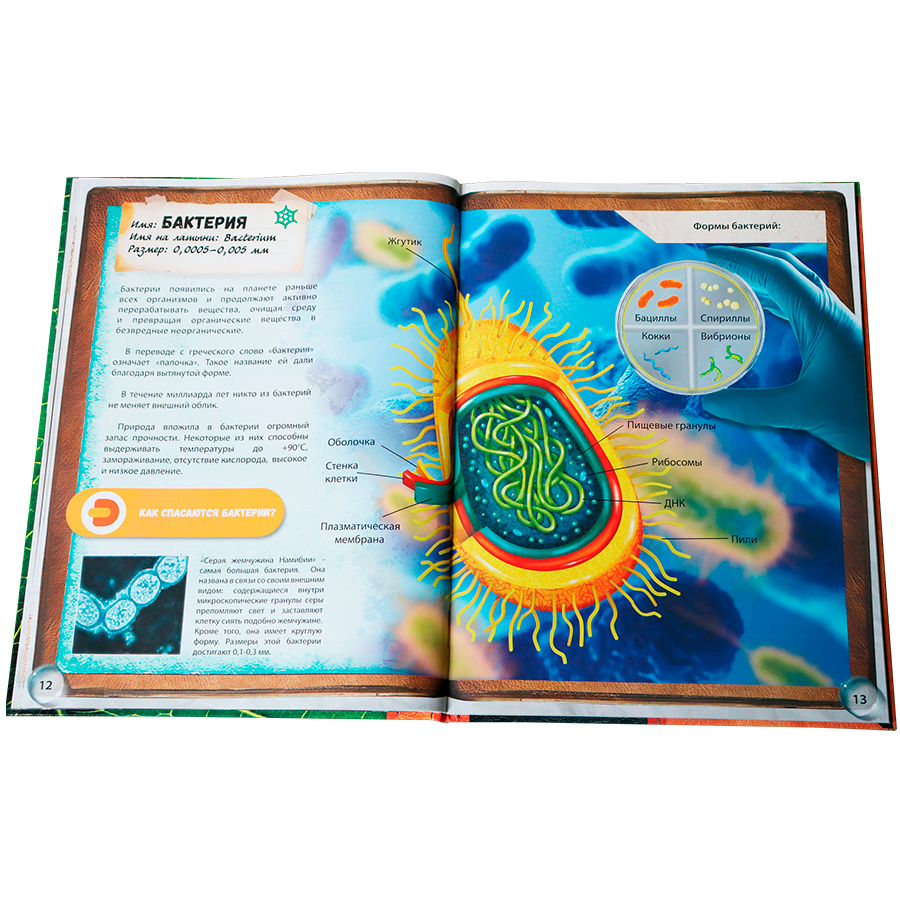 Микромир: энциклопедия в дополненной реальности